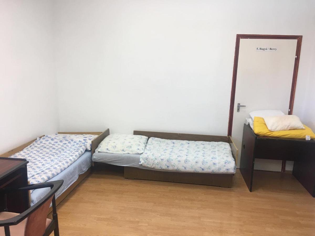 Goencoelhaz Hostel Vác Εξωτερικό φωτογραφία